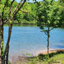 Lunker lake. Oak mountain state park. Alabama 