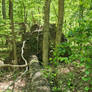 Lunker lake trail. Oak mountain. Alabama 