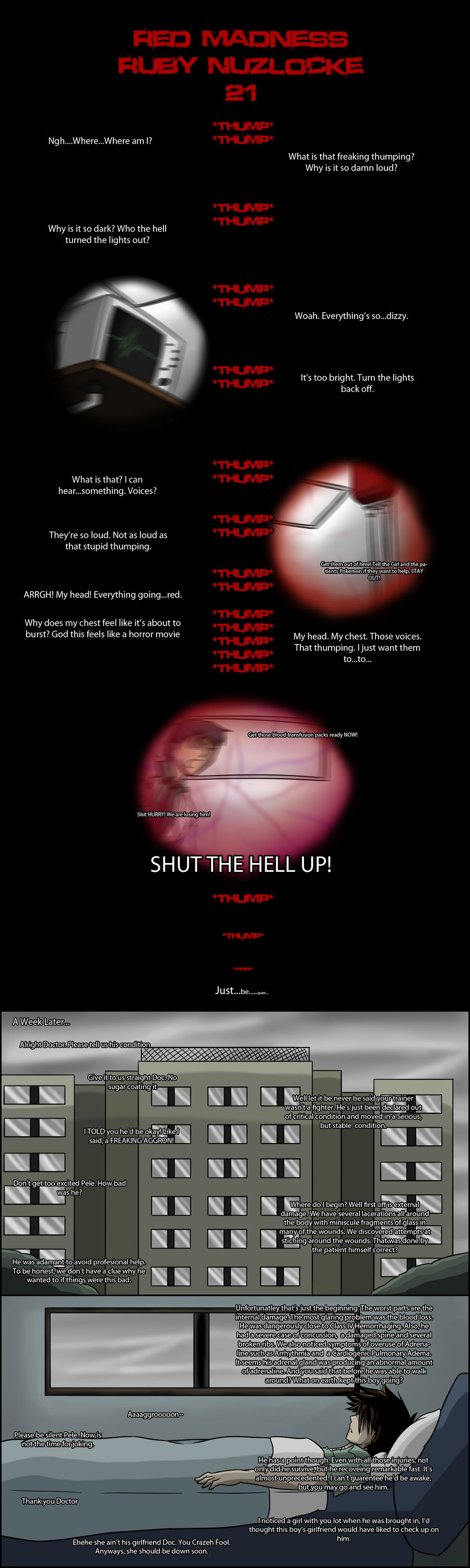 Pokemon Ruby Nuzlocke - 21 by Mad-Revolution on DeviantArt