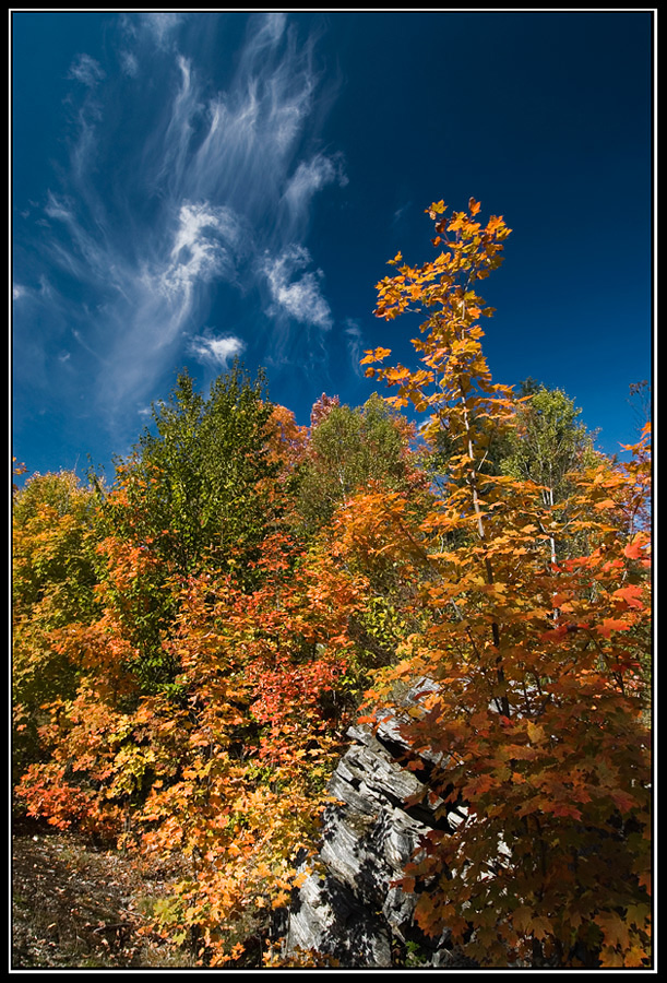 My Fall in Huntsville