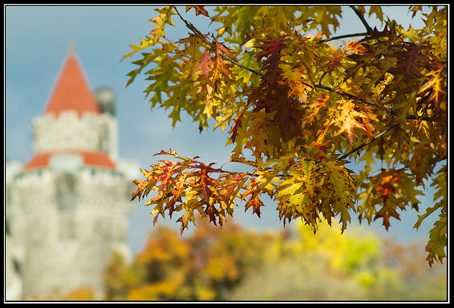 Fall at Casa Loma