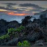 Morning at Big Island, Hawaii