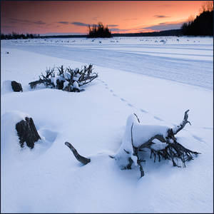 Winter in Ontario