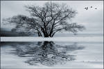 Winter Flight by IgorLaptev