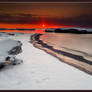 The First Light 0n The Last Sn