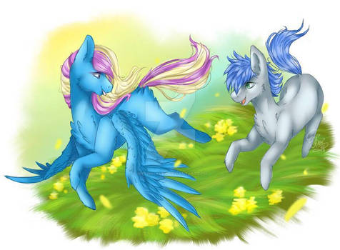 rainbow dream and silver spirit playing