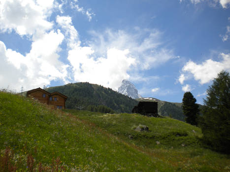 Switzerland Fields