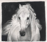 Sepia Horse by lopli
