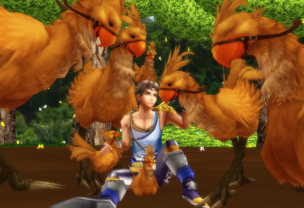 The young mime and Chocobos