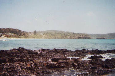 seal rocks 8