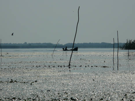 Somewhere in Danube Delta