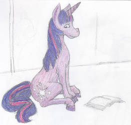 Studious Pony