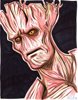 Groot