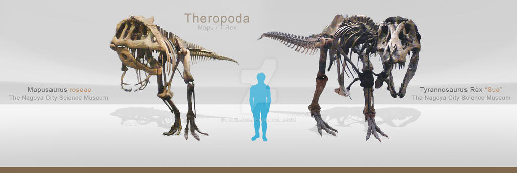 Explore the Best Mapusaurus Art | DeviantArt