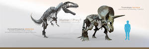 Acrocanthosaurus / Triceratops