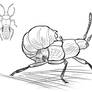 Inktober day 15- Beetle
