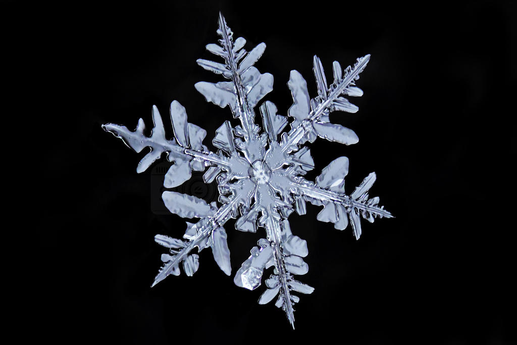 Snow particle by MechanicalFirefly on DeviantArt