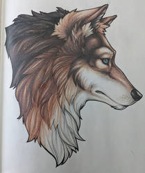 ColoredWolf