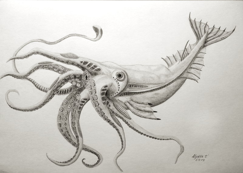 Kraken