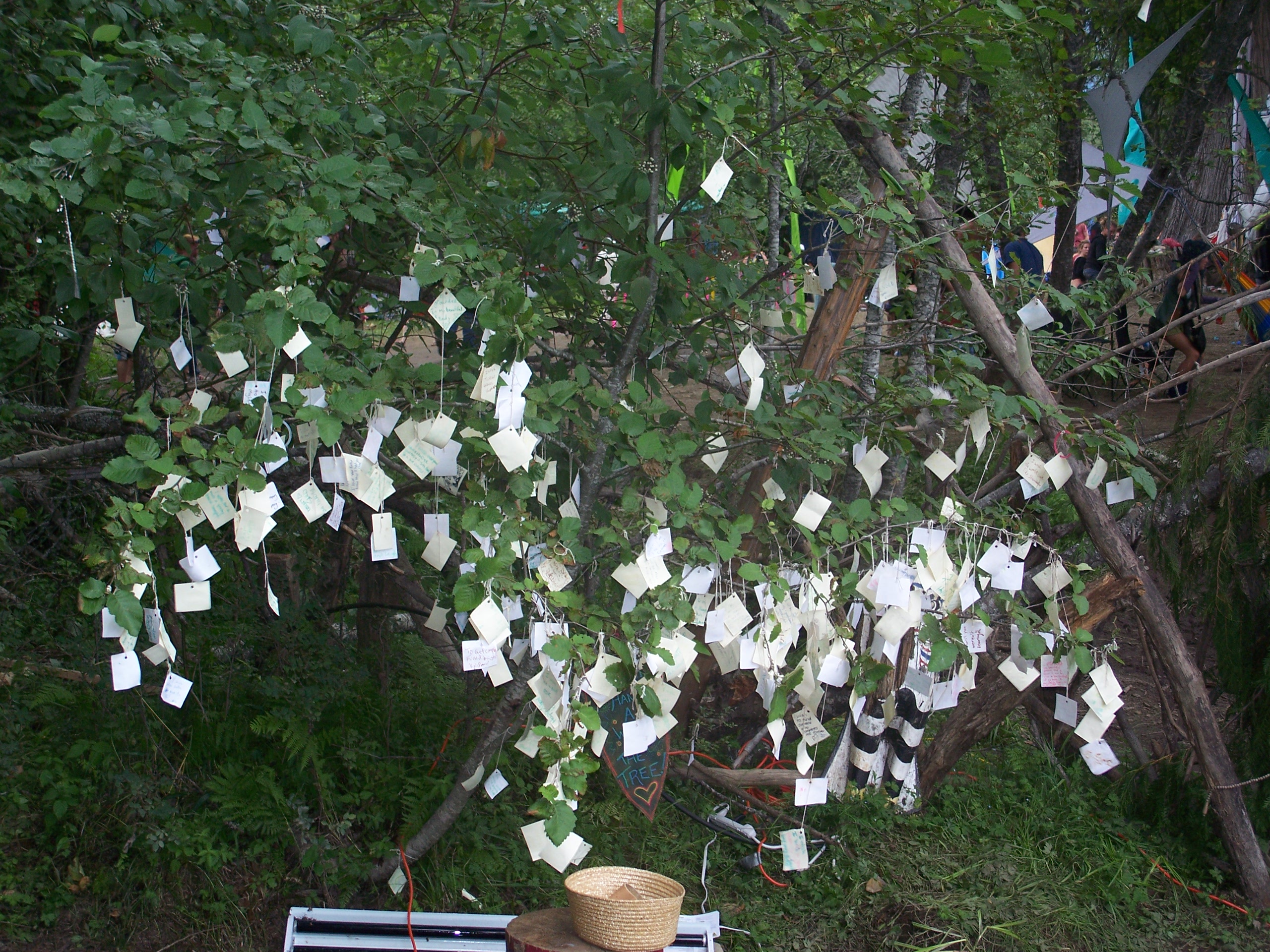 sham 08 wish tree