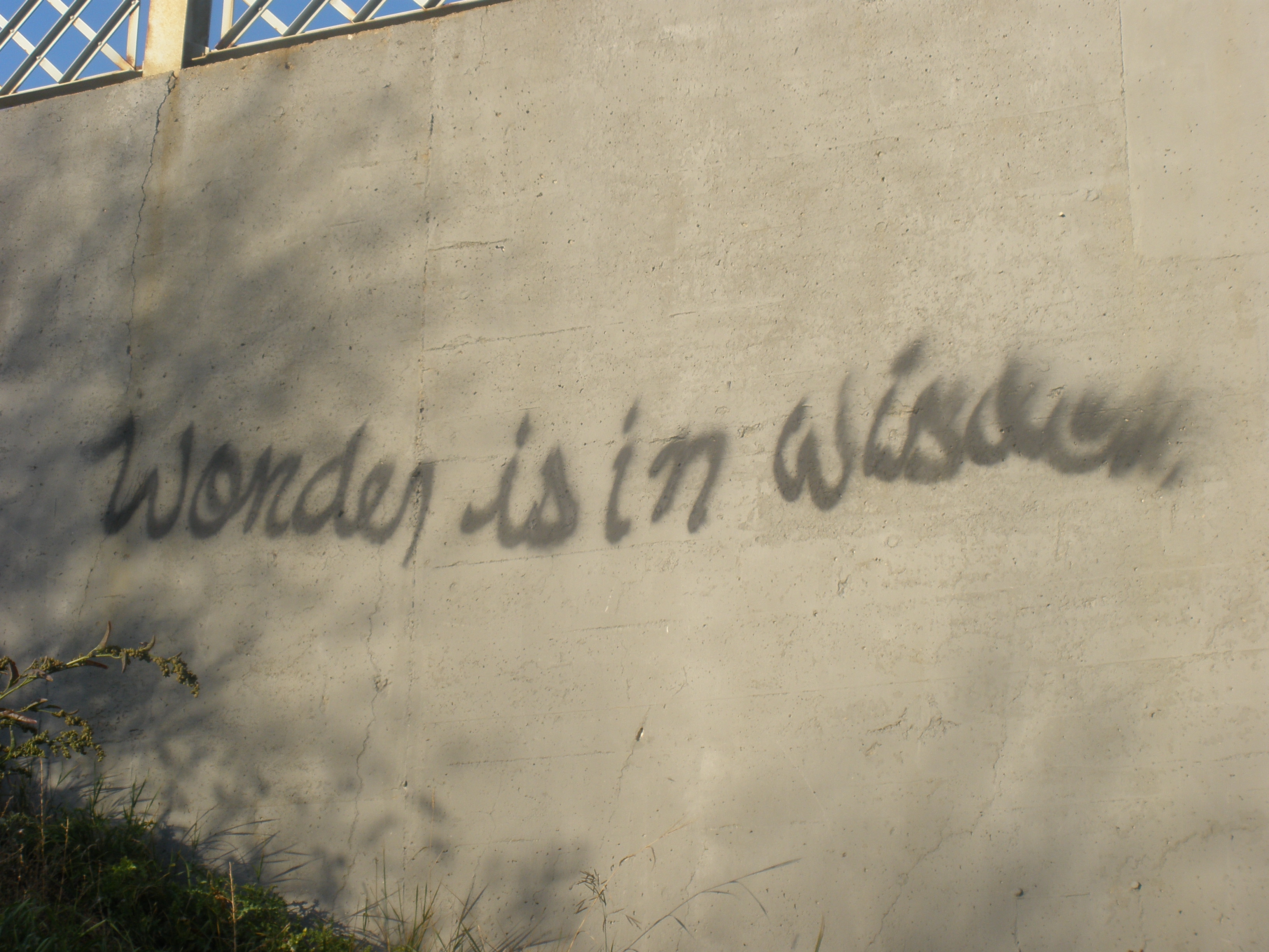 Wonder In Wisdom