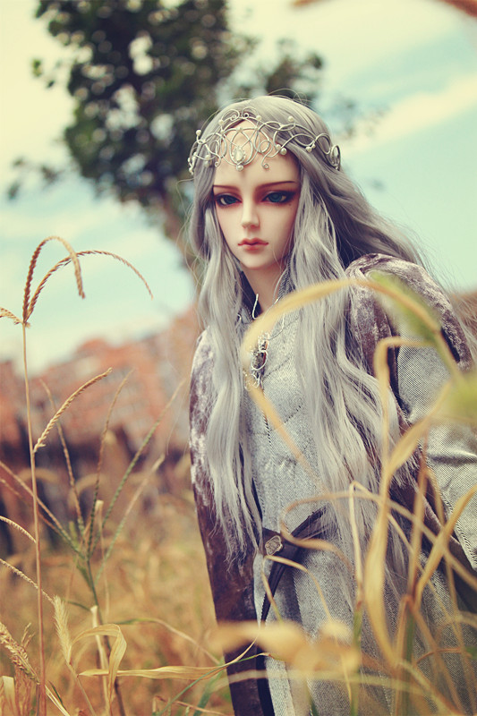 bjd soom jet-The king of the ring