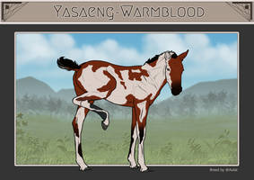 Royal Blood foal reference