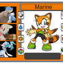 Pokemon Trainer Card - Marine the Raccoon