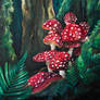 Fly Agaric (Amanita muscaria)