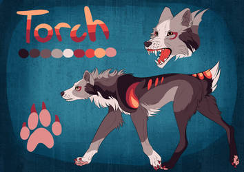 Torch Reference Sheet