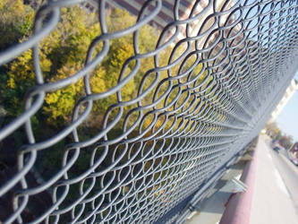 fence