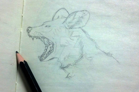 Sketch 001 - African Wild Dog