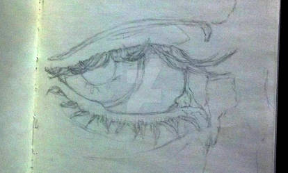 Sketch 002 - Eye