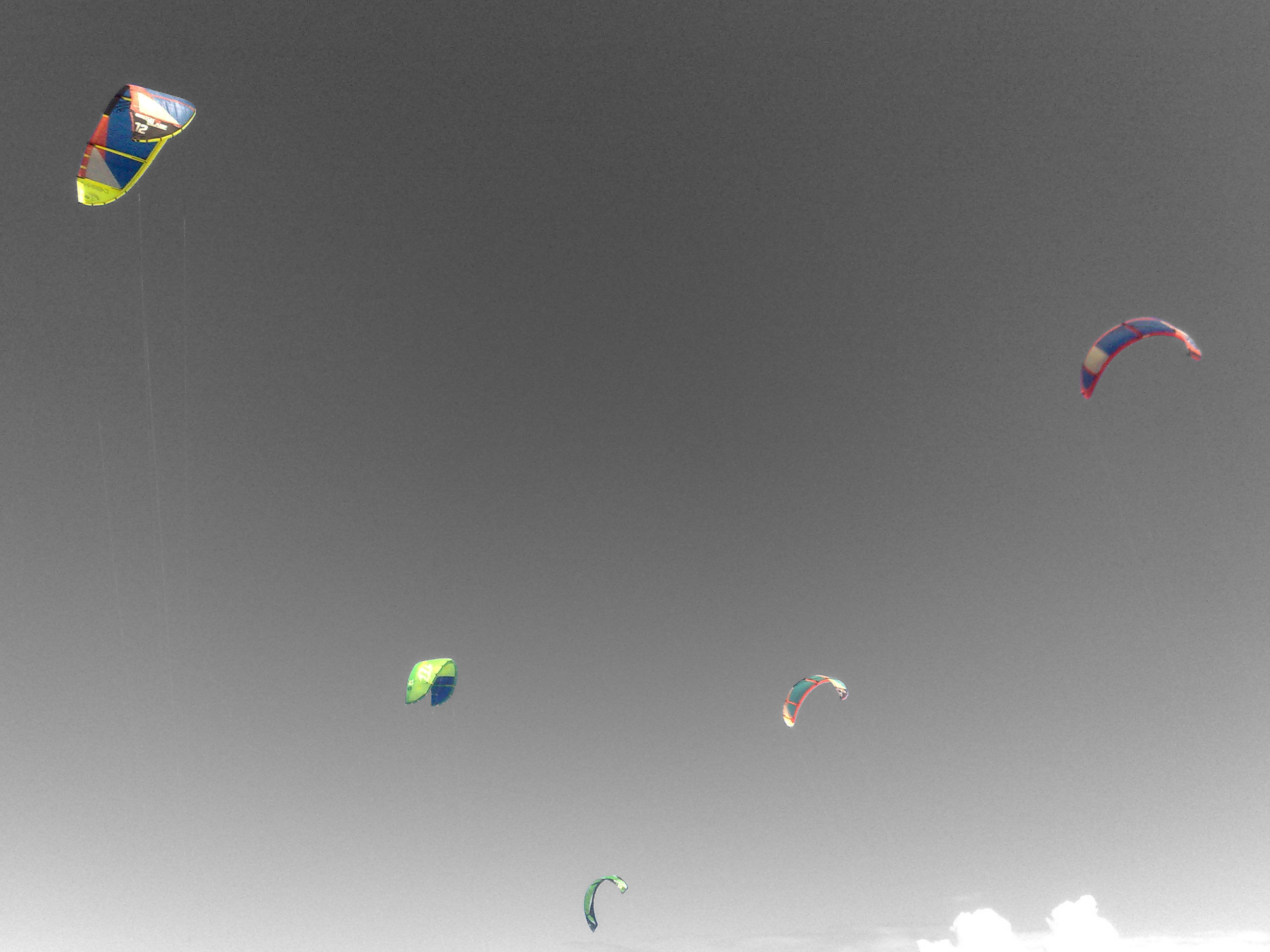 Kites