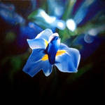 Seeds of Electra in Oil by daveinaz