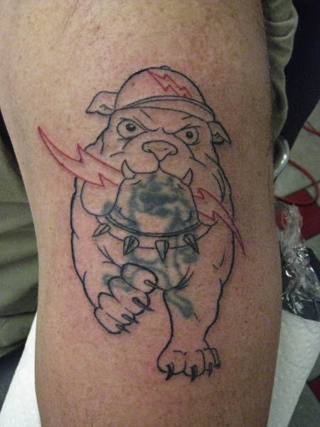 Cover-up bulldog