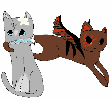 Dovepaw and Tigerheart