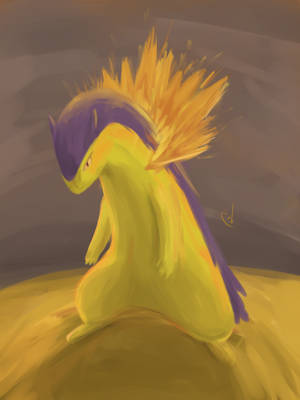 Typhlosion