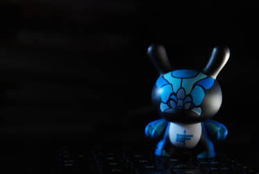 dunny by sam flores