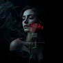 Red Rose, smoke, dew, mist, dark aesthetic, gothic