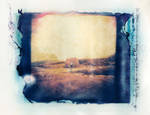 Polaroid Transfer - 12 by Dreams-Made-Flesh