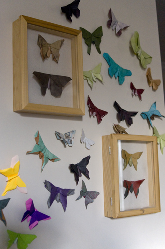 Butterfly Wall