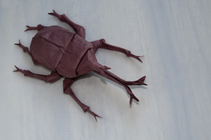 Samurai Helmet Beetle Type 2 by Dreams-Made-Flesh