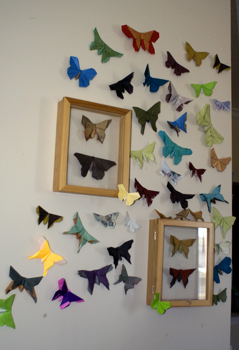 Butterfly Wall 2