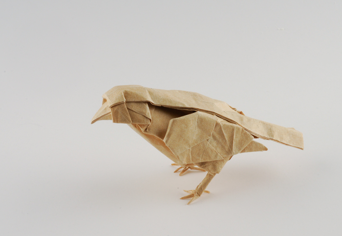 Little Bird by Dreams-Made-Flesh