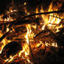 Fire 4