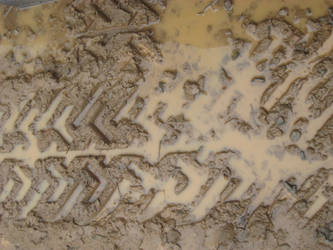 Texture Mud