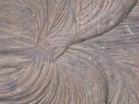 Texture Sawn Wood