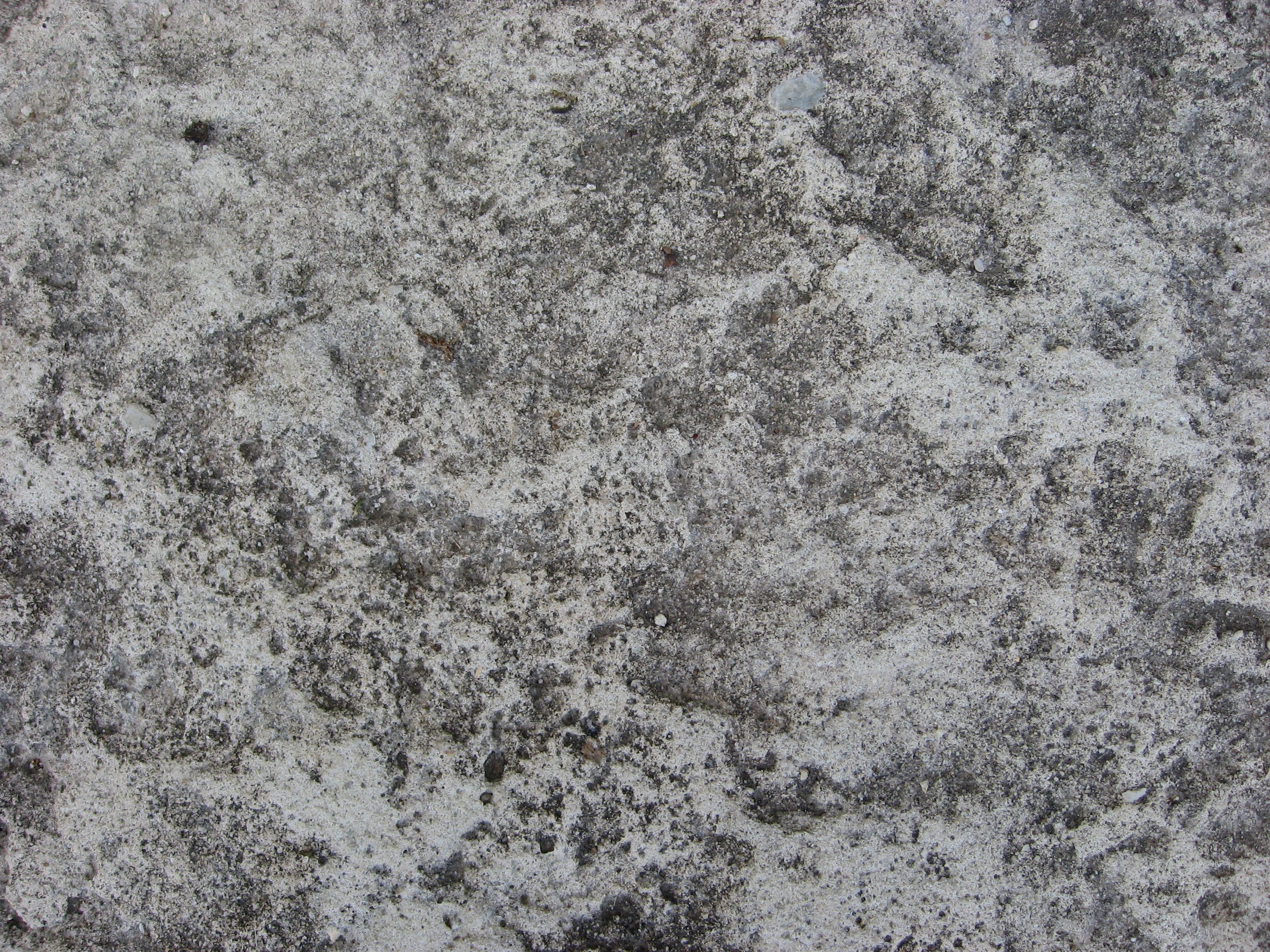 Texture 65