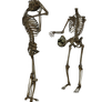 Skeleton - Head Trade - PNG